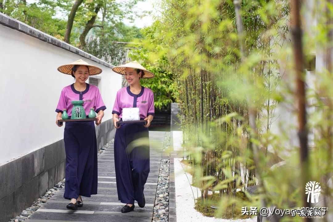 养生主题客房 度假型酒店的特点