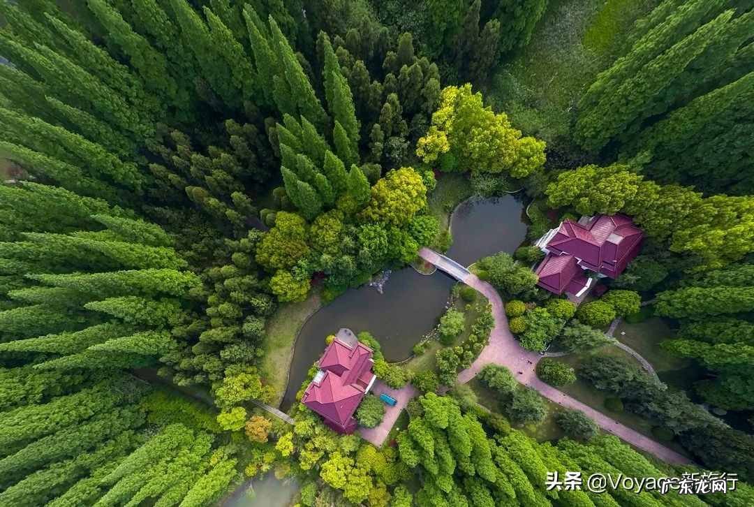 养生主题客房 度假型酒店的特点