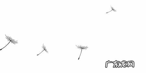 养生主题客房 度假型酒店的特点