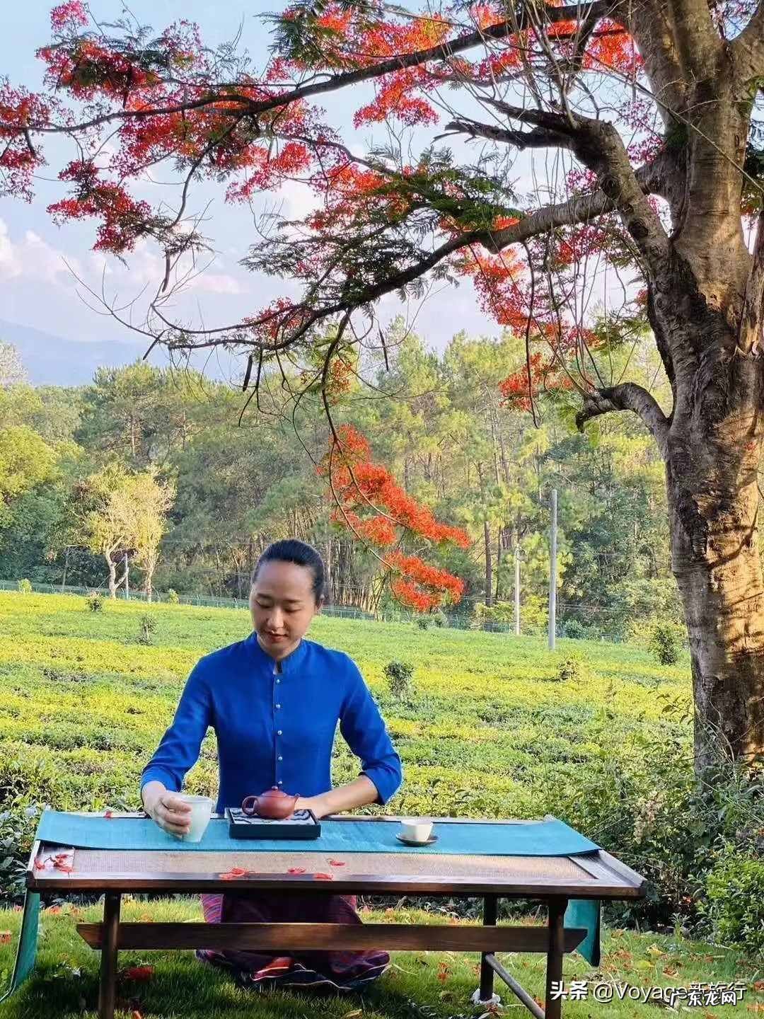 养生主题客房 度假型酒店的特点