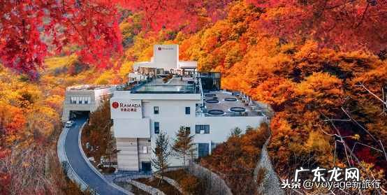 养生主题客房 度假型酒店的特点