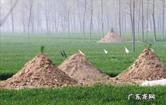 农村坟地怎样完善?