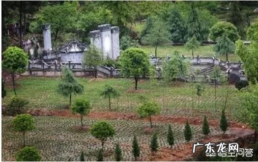 农村坟地怎样完善？