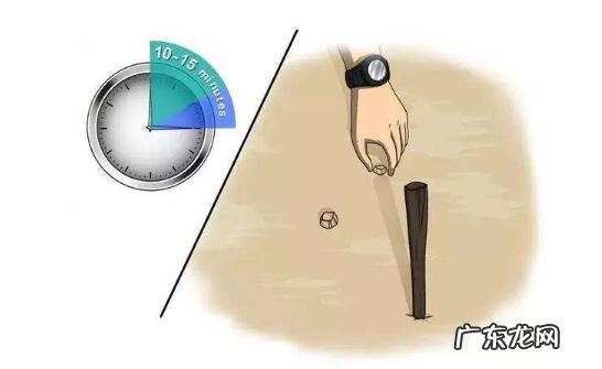 大自然中有哪些天然的指南针 大自然还有什么指南针可以帮我们辨别方向