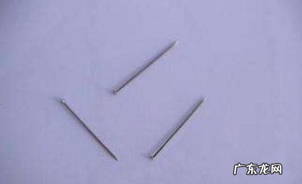 大自然中有哪些天然的指南针 大自然还有什么指南针可以帮我们辨别方向