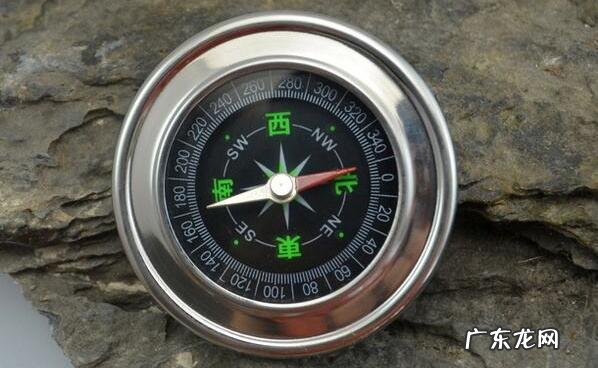大自然中有哪些天然的指南针 大自然还有什么指南针可以帮我们辨别方向