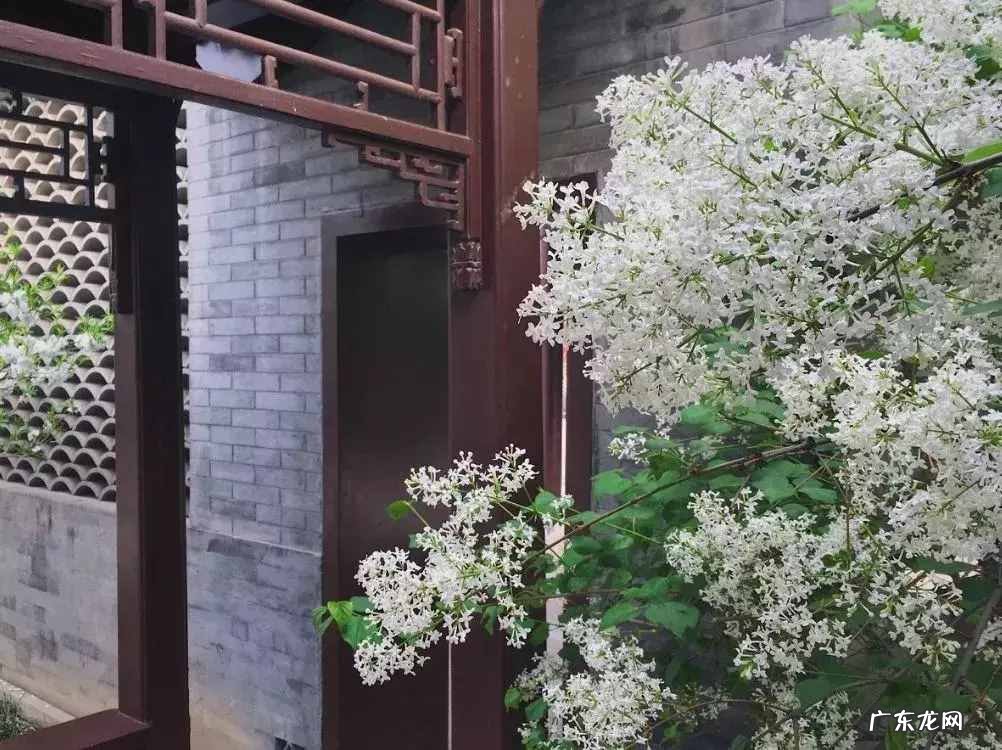 23种中国独特的传统民居建筑体系 各具特色的民居作者是谁