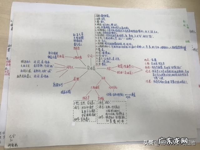 七年级下册卖油翁原文及注释加翻译 七年级下册卖油翁原文及注释拼音