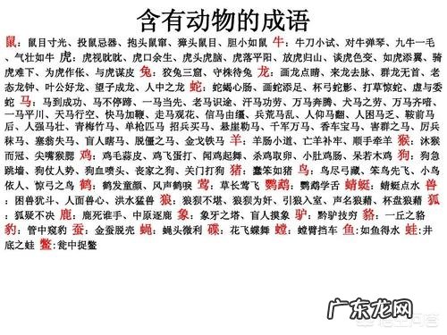 关于动物的成语?