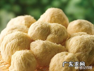 产妇能不能吃猴菇?