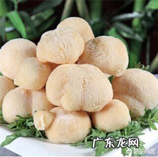 产妇能不能吃猴菇?