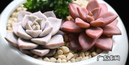 送礼的十大忌讳禁忌 送礼的十大忌讳禁忌语