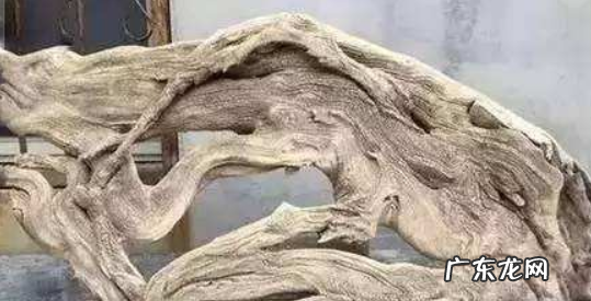 崖柏为什么不能放家里 崖柏为什么不能放家里养