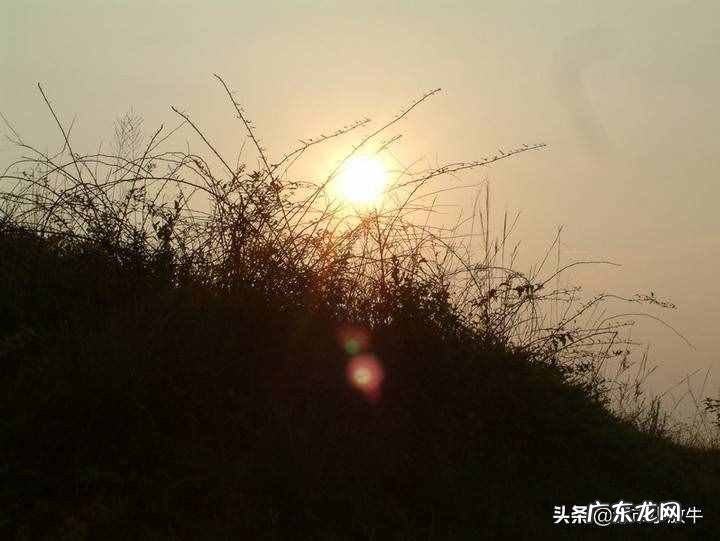 荒野诗歌赏析 什么的荒野填空词语三年级