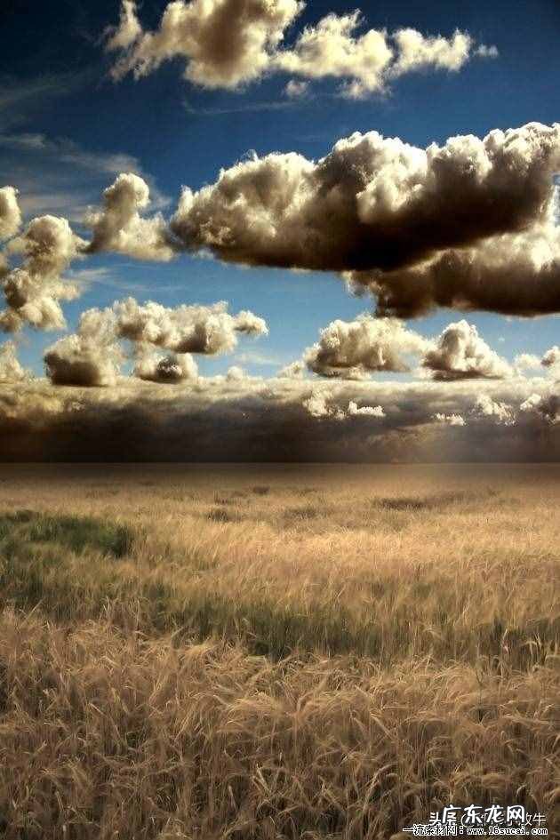 荒野诗歌赏析 什么的荒野填空词语三年级