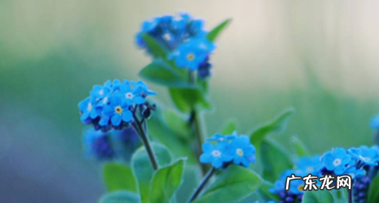 几月出生的属兔是富贵命 几月出生的属兔是富贵命啊