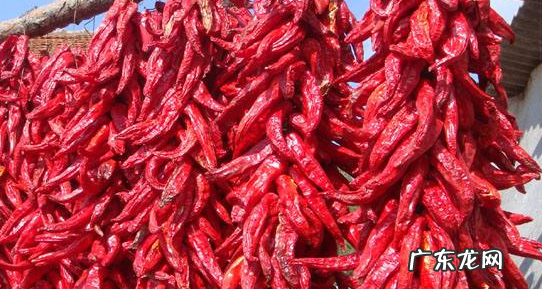 红辣椒挂件挂在客厅哪个位置好 红辣椒挂件挂在客厅哪个位置好呢