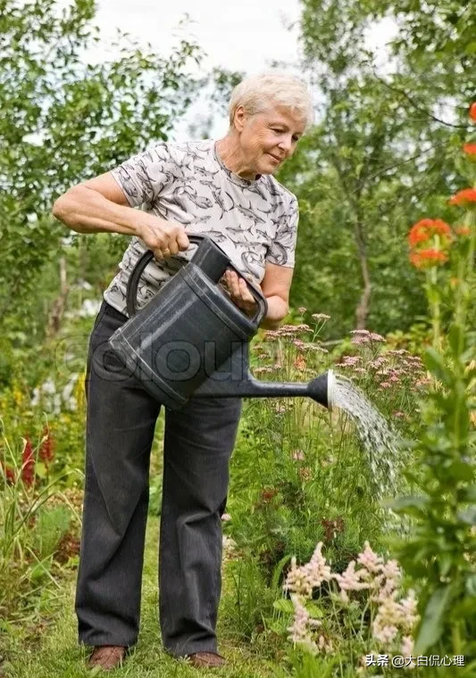 人老了为什么喜欢养花种菜，从心理学角度怎么解释这种现象？