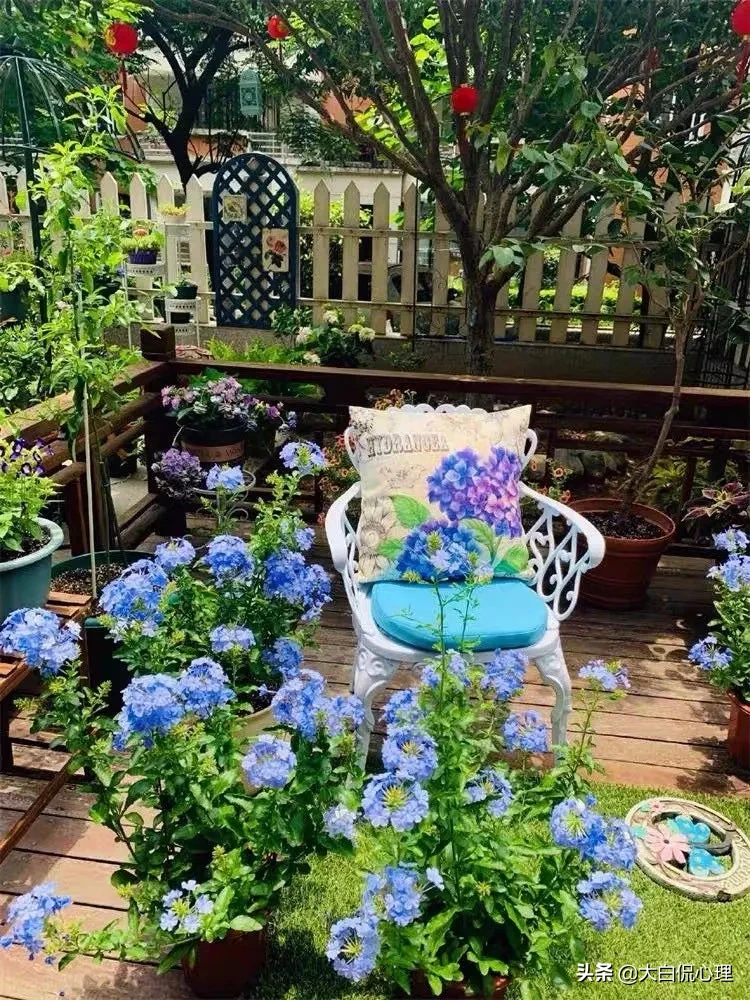 人老了为什么喜欢养花种菜,从心理学角度怎么解释这种现象?