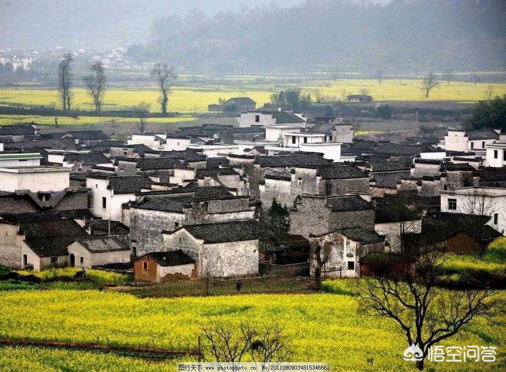 乡村美丽风光,如画的田园,能留下你的脚步在家乡发展吗?