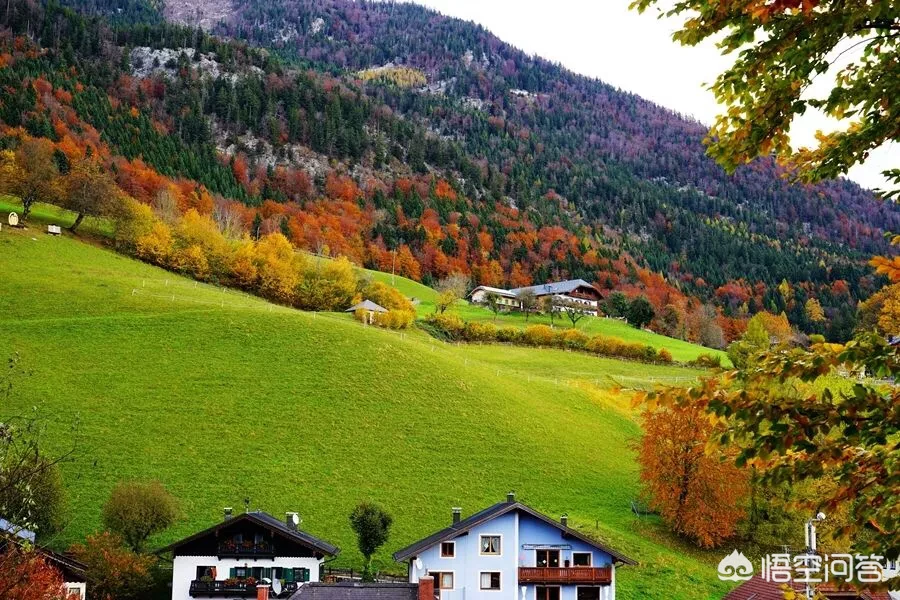 乡村美丽风光,如画的田园,能留下你的脚步在家乡发展吗?