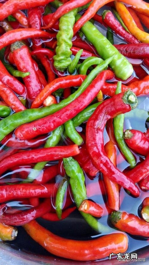 你在食堂吃过最奇葩的菜是什么?