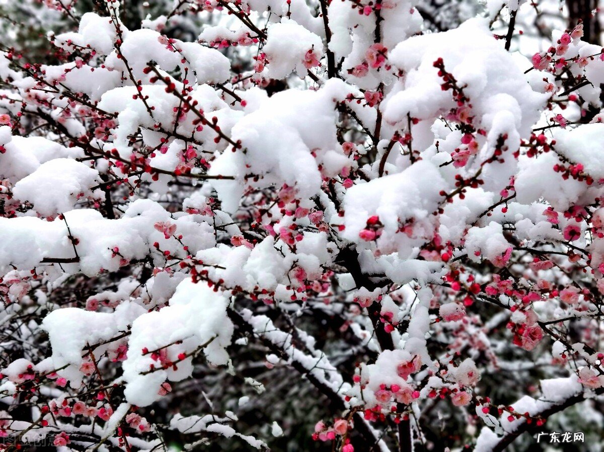 全国“高烧”收尾,新一轮冷空气加速南下,今冬会被“冻哭”吗?