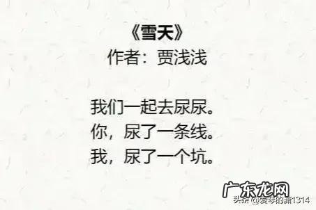 贾浅浅诗歌赏析,贾浅浅的诗集大全