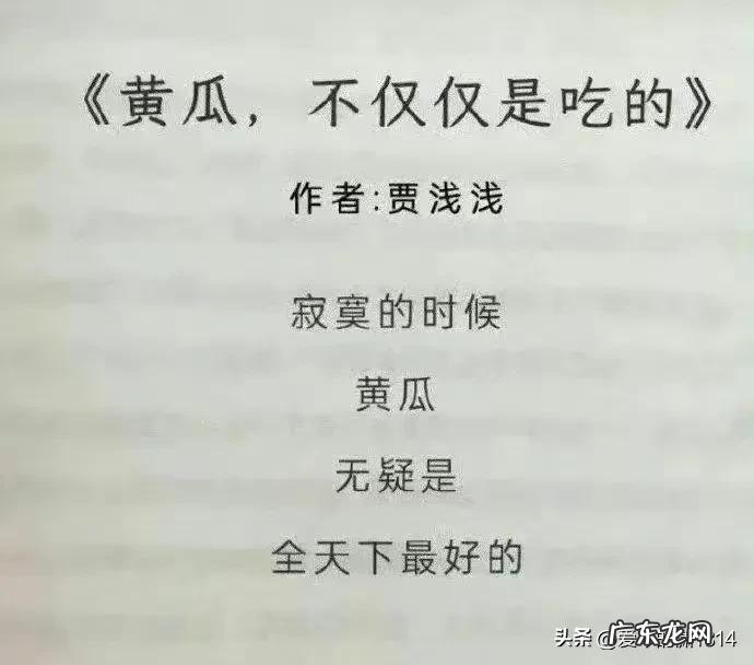 贾浅浅诗歌赏析,贾浅浅的诗集大全