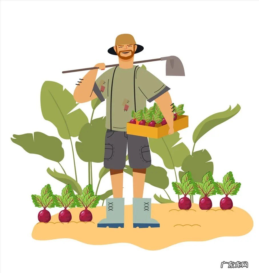 人的尊严体现在哪些方面?您有多少尊严?