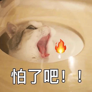 猫奶糕什么牌子好 人食级别宠粮是智商税吗有这2个认证的猫罐头