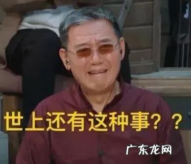 猫奶糕什么牌子好 人食级别宠粮是智商税吗有这2个认证的猫罐头