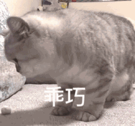 猫奶糕什么牌子好 人食级别宠粮是智商税吗有这2个认证的猫罐头