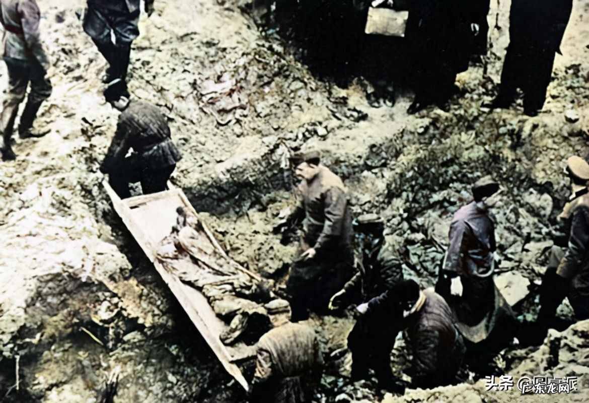 卡廷惨案电影解说 卡廷森林事件