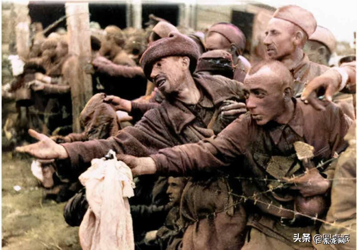 卡廷惨案电影解说 卡廷森林事件