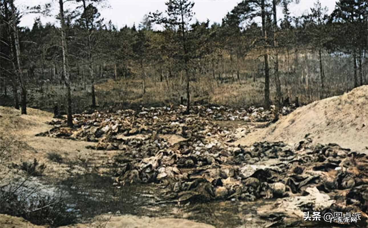 卡廷惨案电影解说 卡廷森林事件