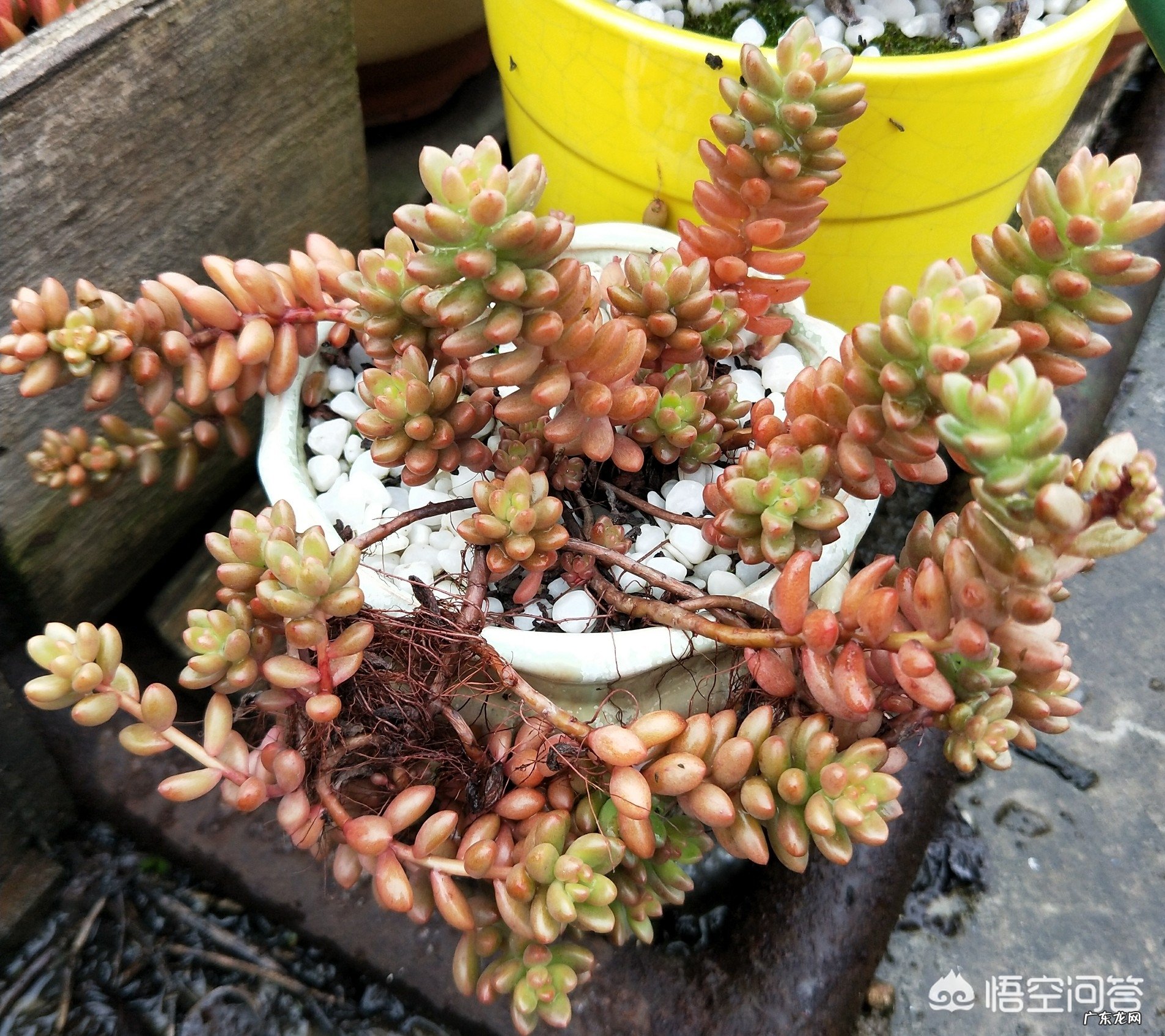 你听过的最让人记忆犹新的鼓励的话是哪句?