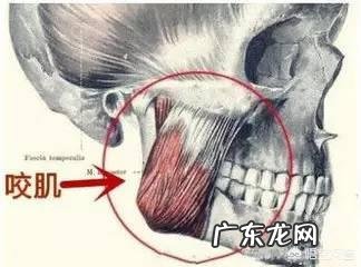 瘦脸针有什么副作用吗?