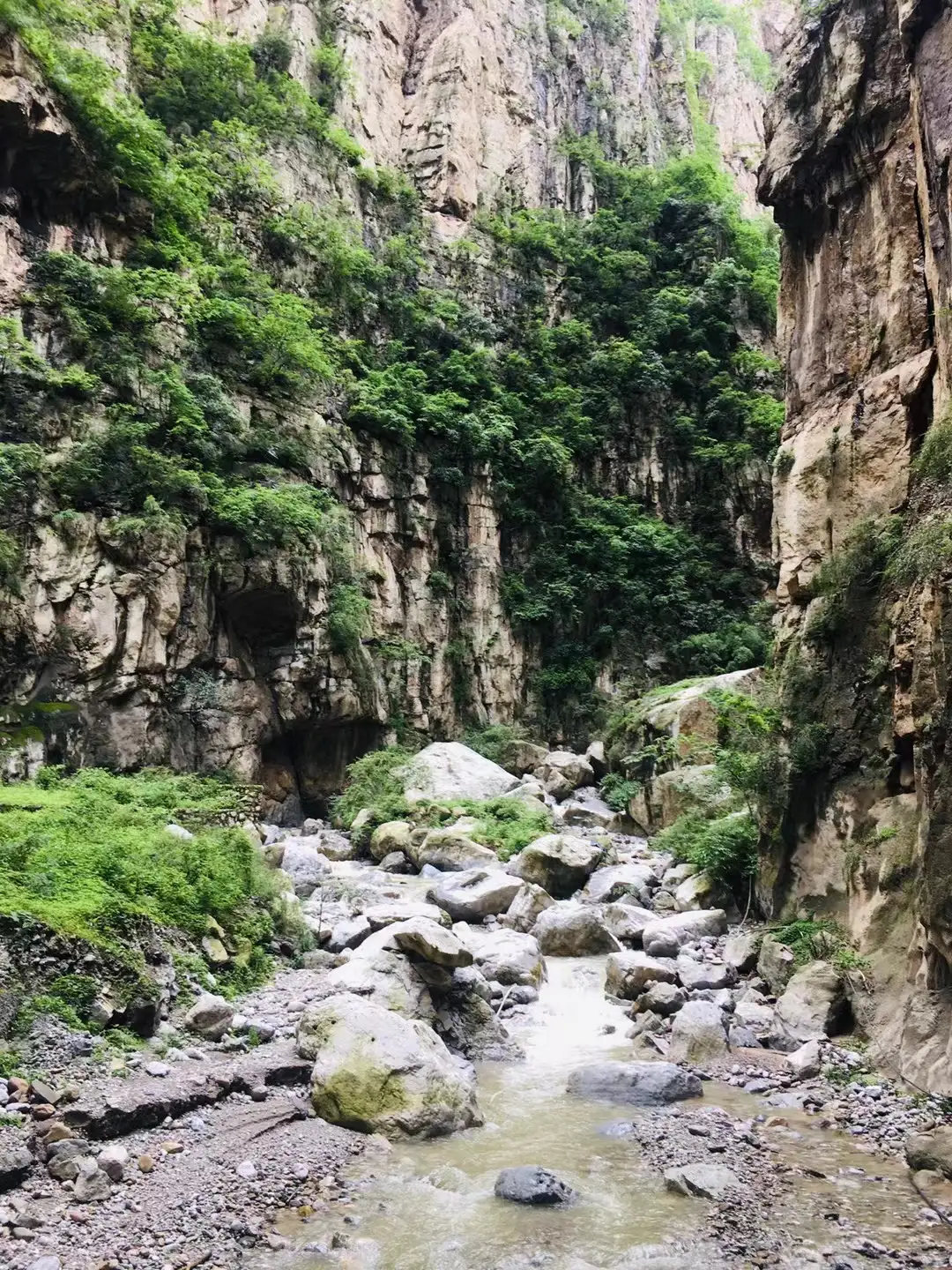 中国在2022年卡塔尔世界杯出线的概率是多少?