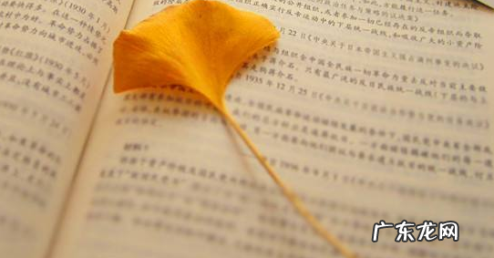 恬静的书是什么梗 恬静的书是什么梗 姬