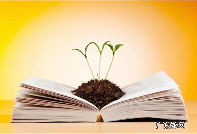 淡然自若的意思是什么解释 淡然是什么意思解释一下