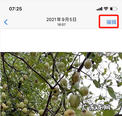 荣耀手机图片怎么镜像翻转 苹果手机图片怎么镜像翻转