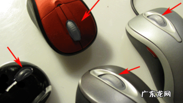 c4d鼠标中键是什么 鼠标中键是什么英文