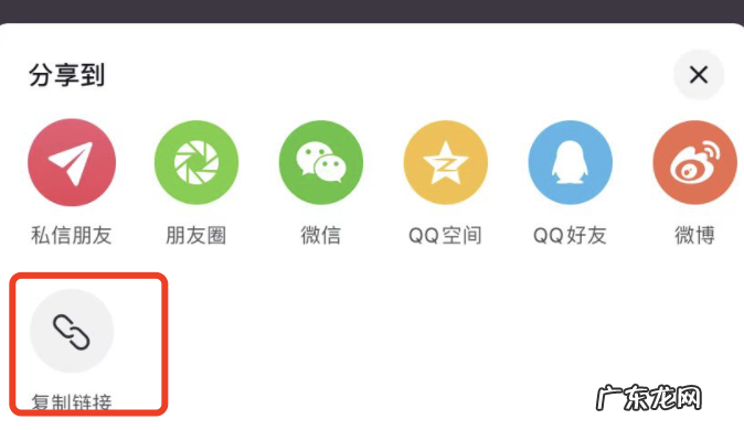 抖音主页链接在哪里打开 抖音主页链接在哪里复制