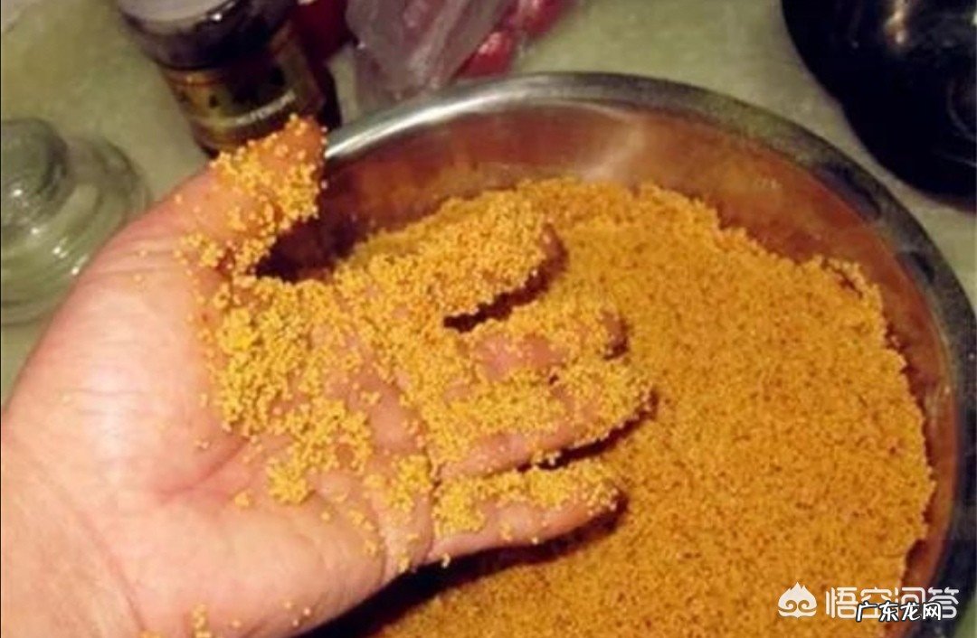 一年四季钓鱼打窝的窝料有什么区别?