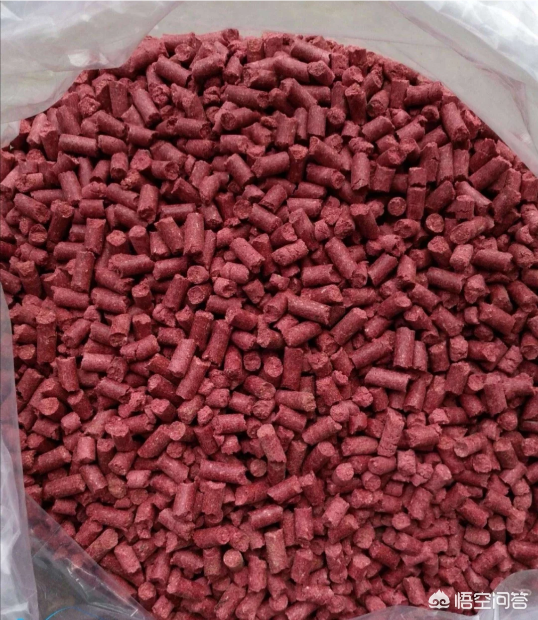 一年四季钓鱼打窝的窝料有什么区别?