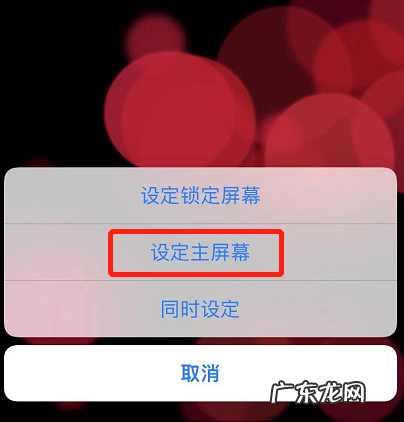 苹果手机怎么设置动态壁纸不用按压 苹果手机怎么设置动态壁纸带声音