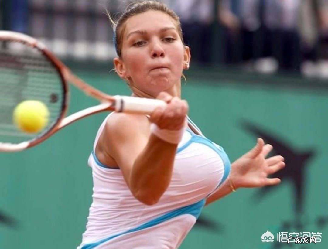 WTA新规发布,允许女选手直接穿打底裤参赛,对此你怎么看?