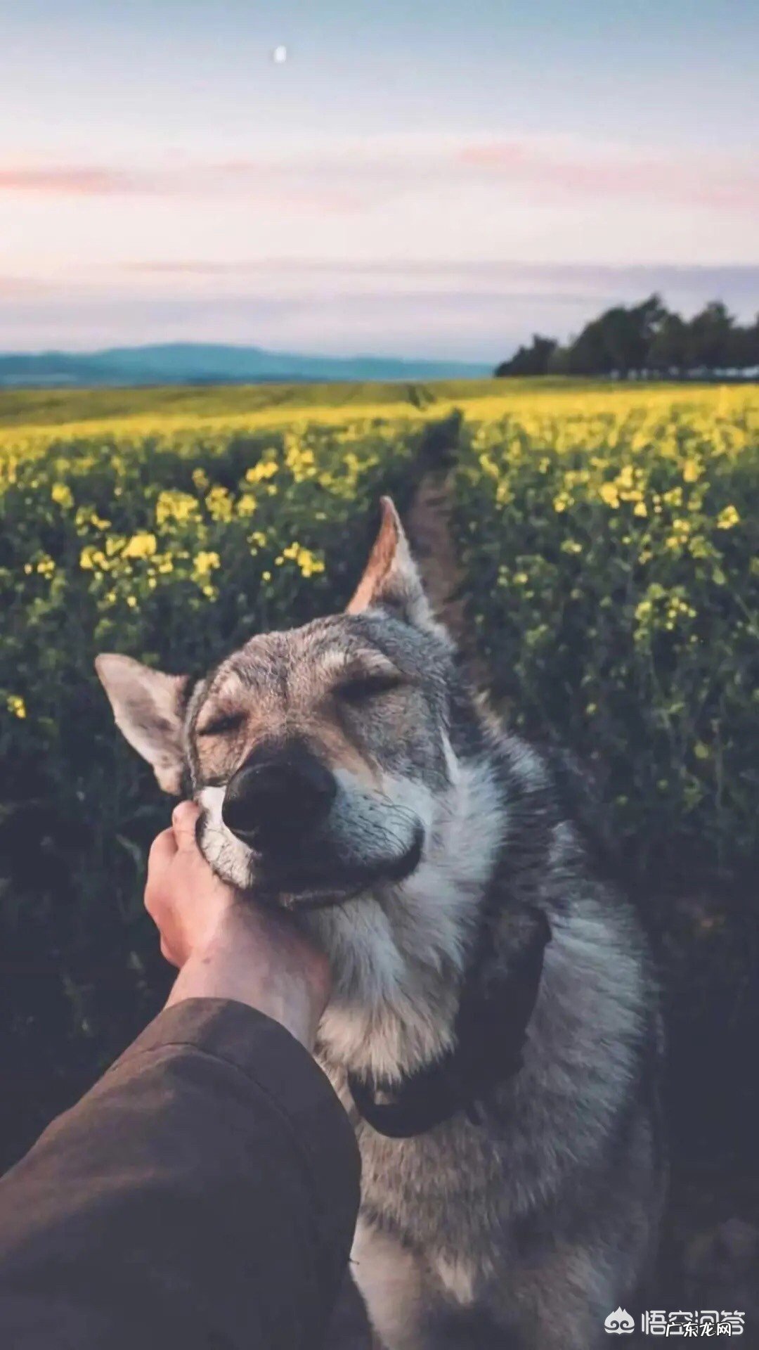 光喜欢看美女怎么办,我跟我同桌说有个男的好帅,我同桌说我不是喜欢女的嘛,我女的?