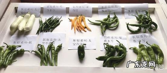 为什么把种子送上太空再下来种,种出来的东西比较大?